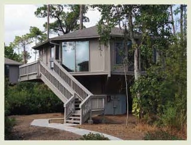 Hibiscus Place Luxury Apartments Reviews Hibiscus Place Luxury Apartments Reviews